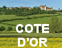 cote dor miniature